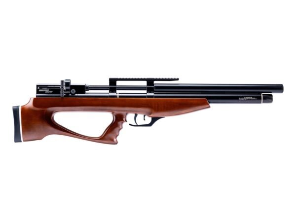 AEA Challenger Bullpup Nova